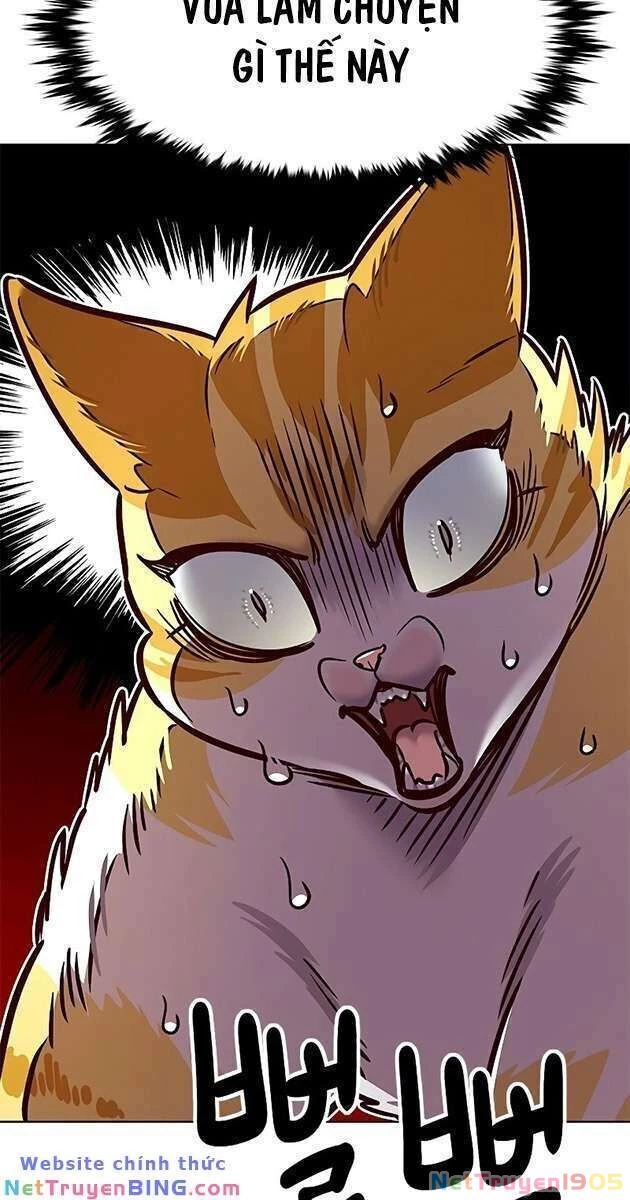 Cô Dâu Của Sói Trắng Chapter 278 - 9