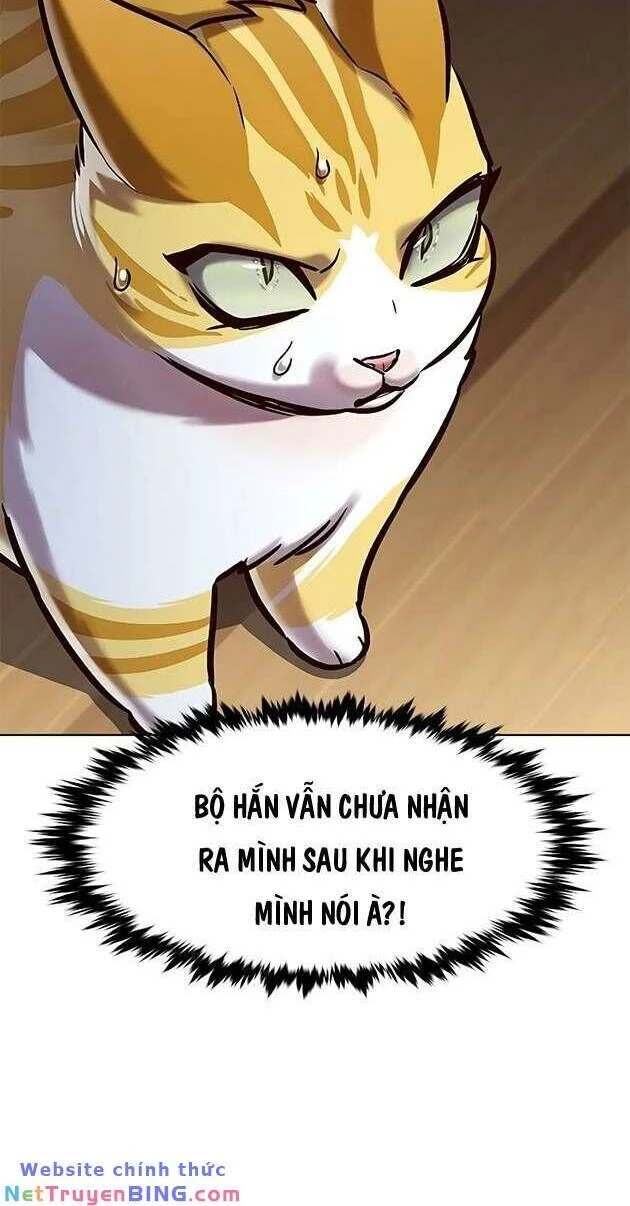 Cô Dâu Của Sói Trắng Chapter 278 - 18