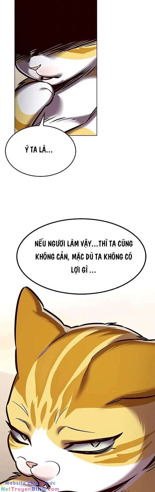 Cô Dâu Của Sói Trắng Chapter 278 - 73