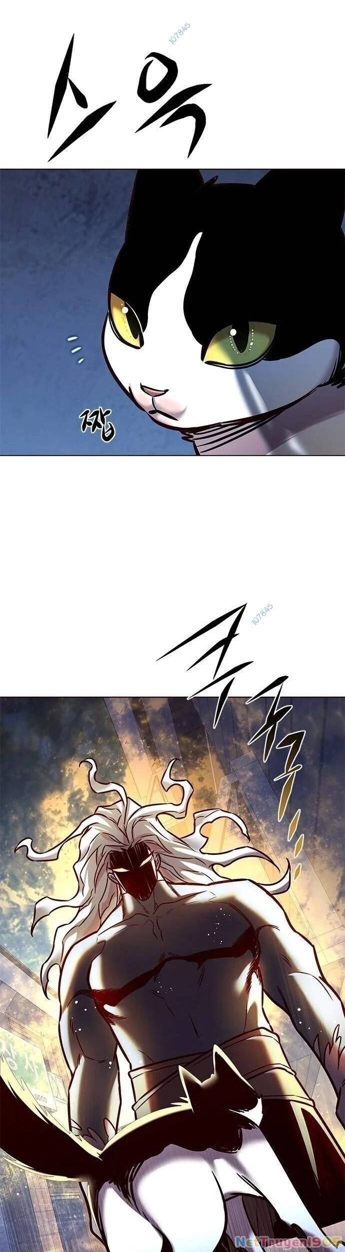 Cô Dâu Của Sói Trắng Chapter 279 - 21