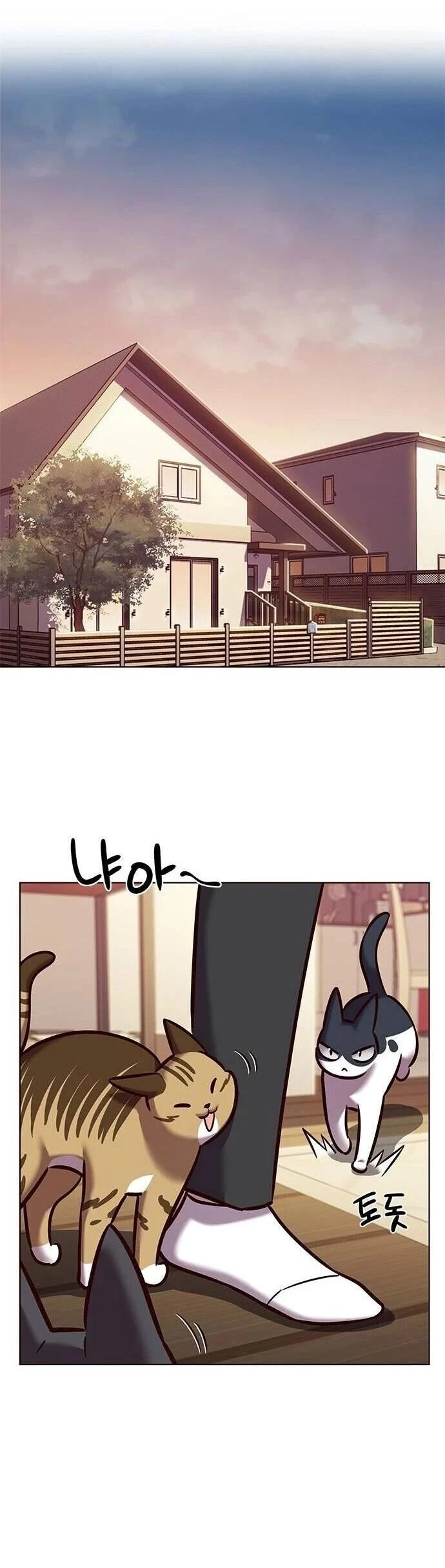 Cô Dâu Của Sói Trắng Chapter 279 - 32