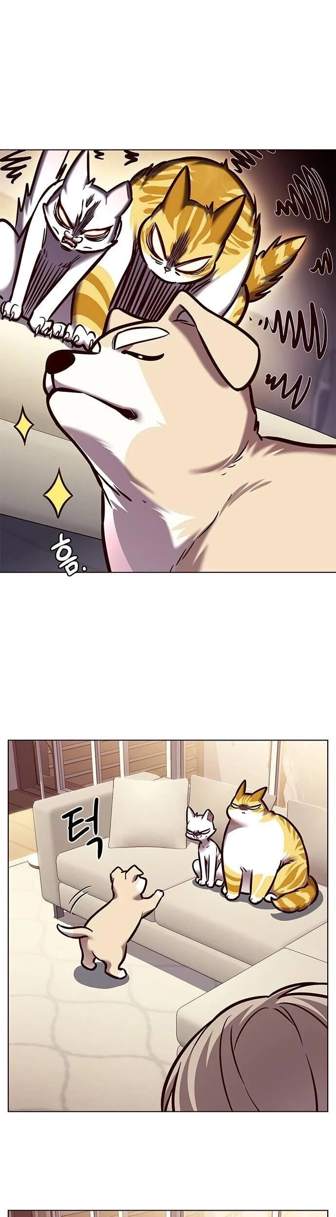 Cô Dâu Của Sói Trắng Chapter 279 - 52