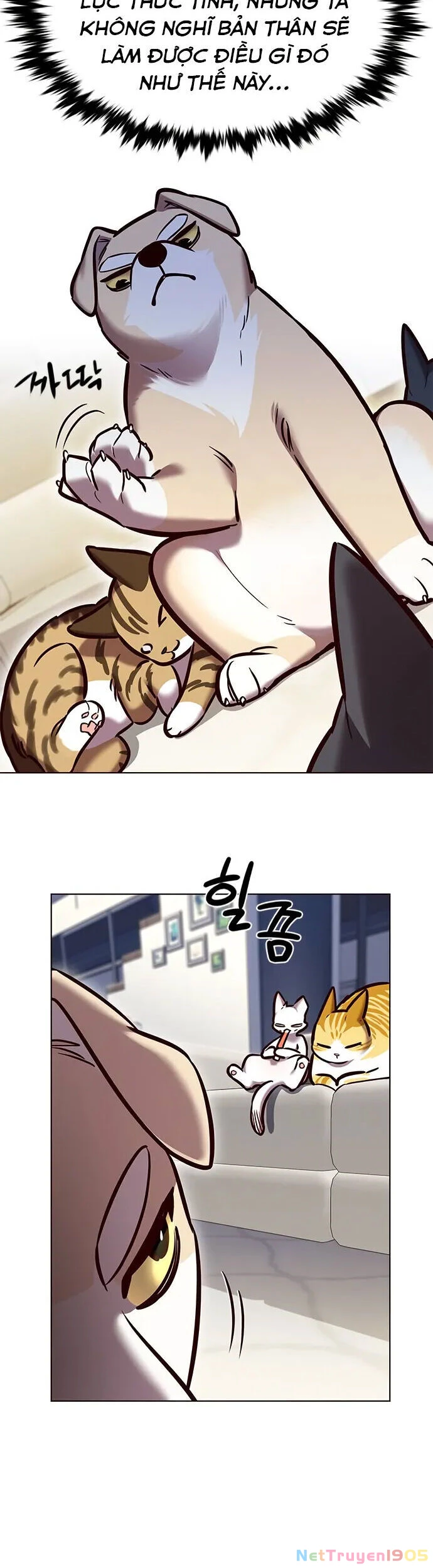 Cô Dâu Của Sói Trắng Chapter 280 - 5