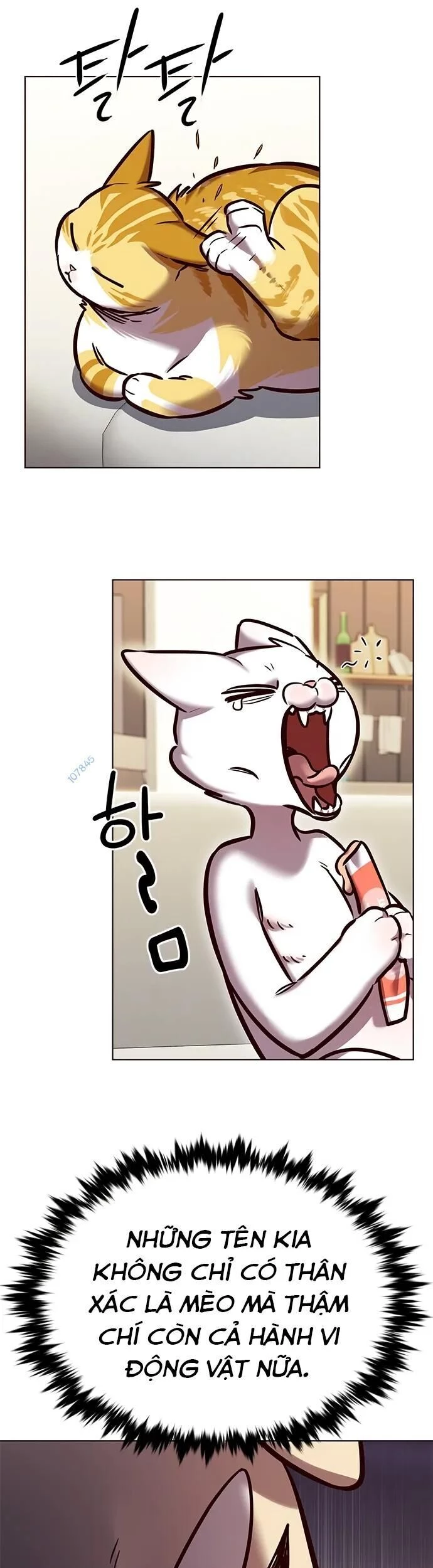 Cô Dâu Của Sói Trắng Chapter 280 - 6