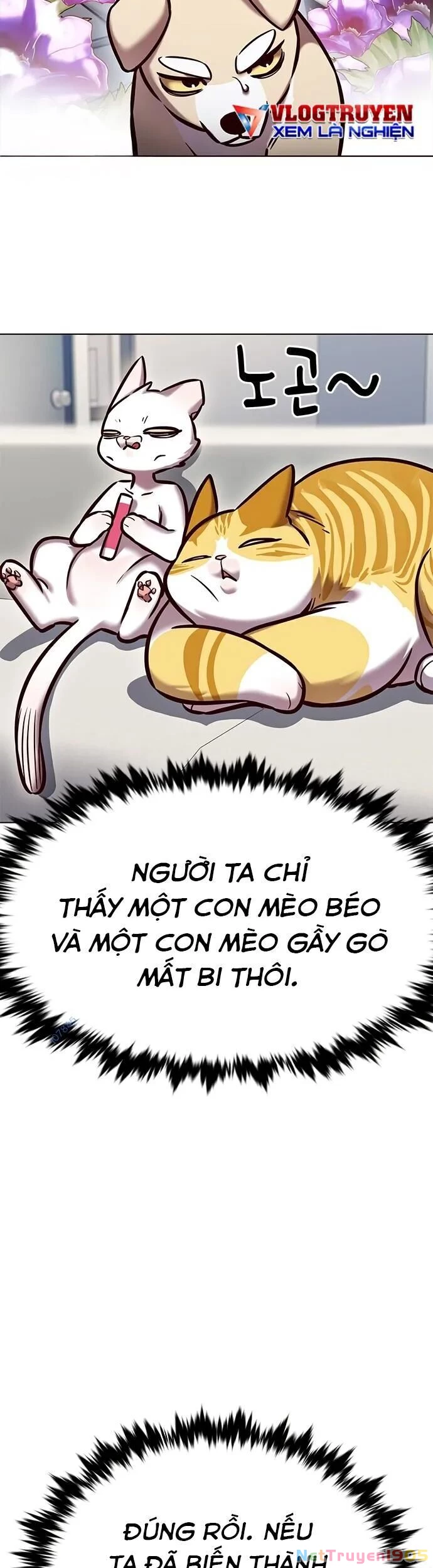Cô Dâu Của Sói Trắng Chapter 280 - 8