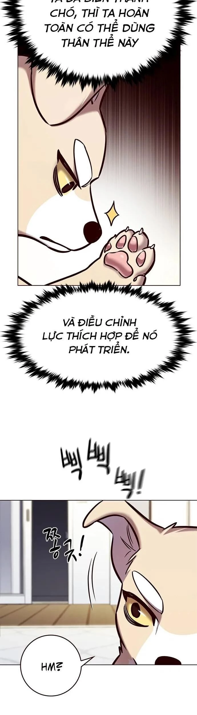Cô Dâu Của Sói Trắng Chapter 280 - 9