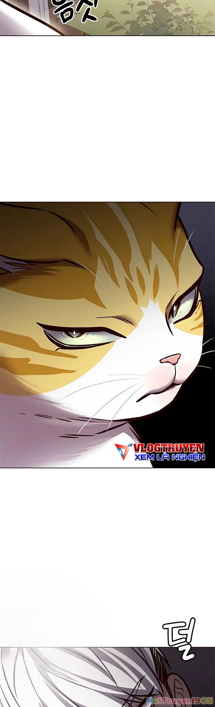 Cô Dâu Của Sói Trắng Chapter 280 - 26