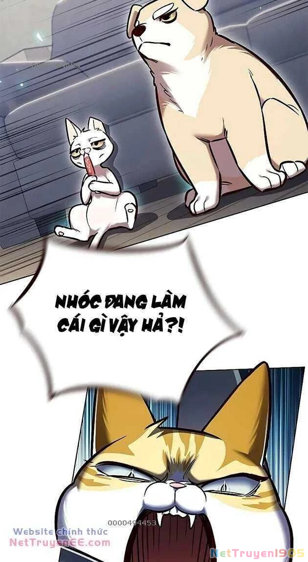 Cô Dâu Của Sói Trắng Chapter 281 - 3