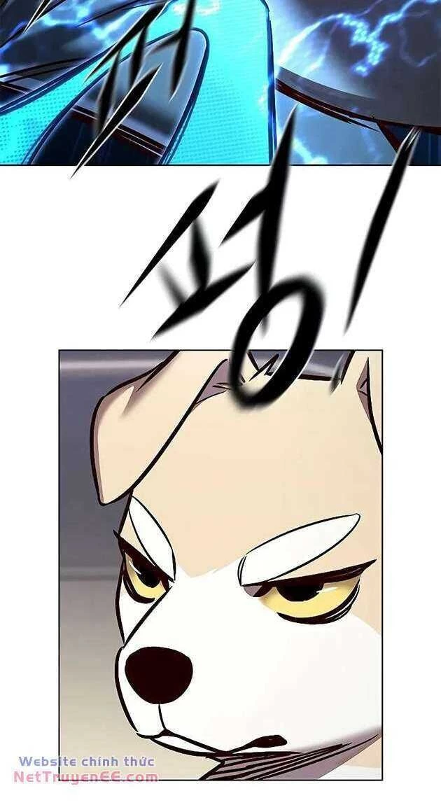 Cô Dâu Của Sói Trắng Chapter 281 - 10