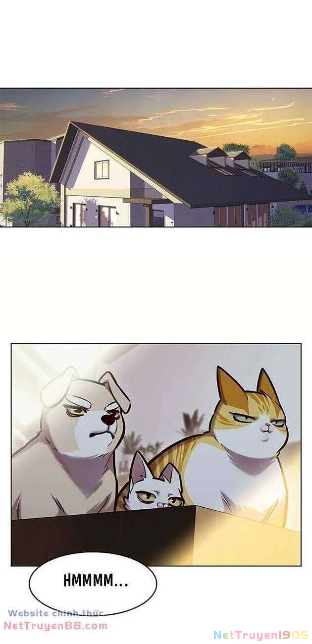 Cô Dâu Của Sói Trắng Chapter 282 - 2