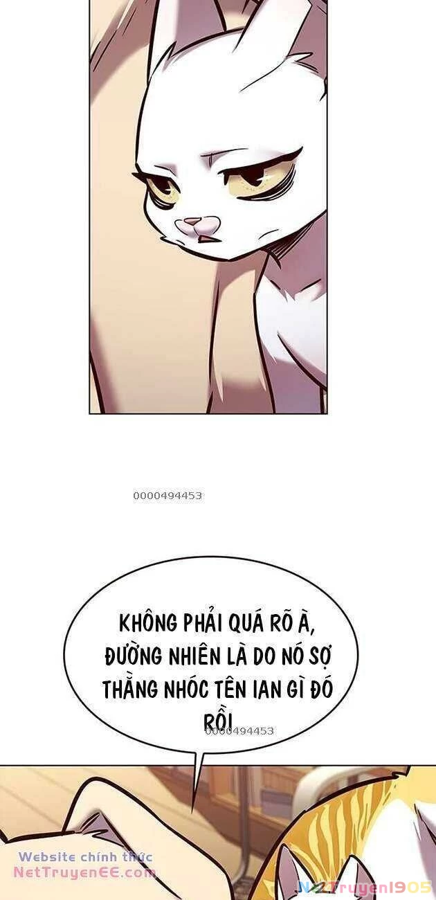 Cô Dâu Của Sói Trắng Chapter 282 - 5