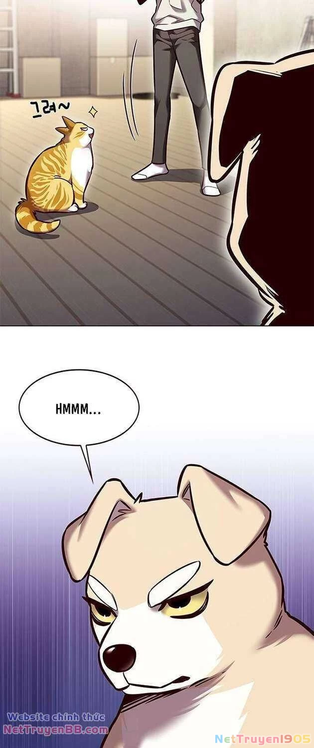Cô Dâu Của Sói Trắng Chapter 283 - 43