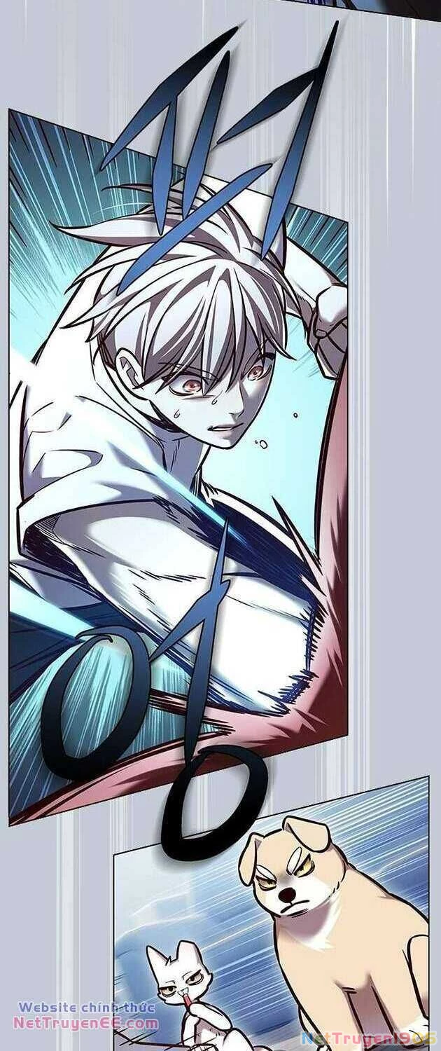 Cô Dâu Của Sói Trắng Chapter 283 - 46