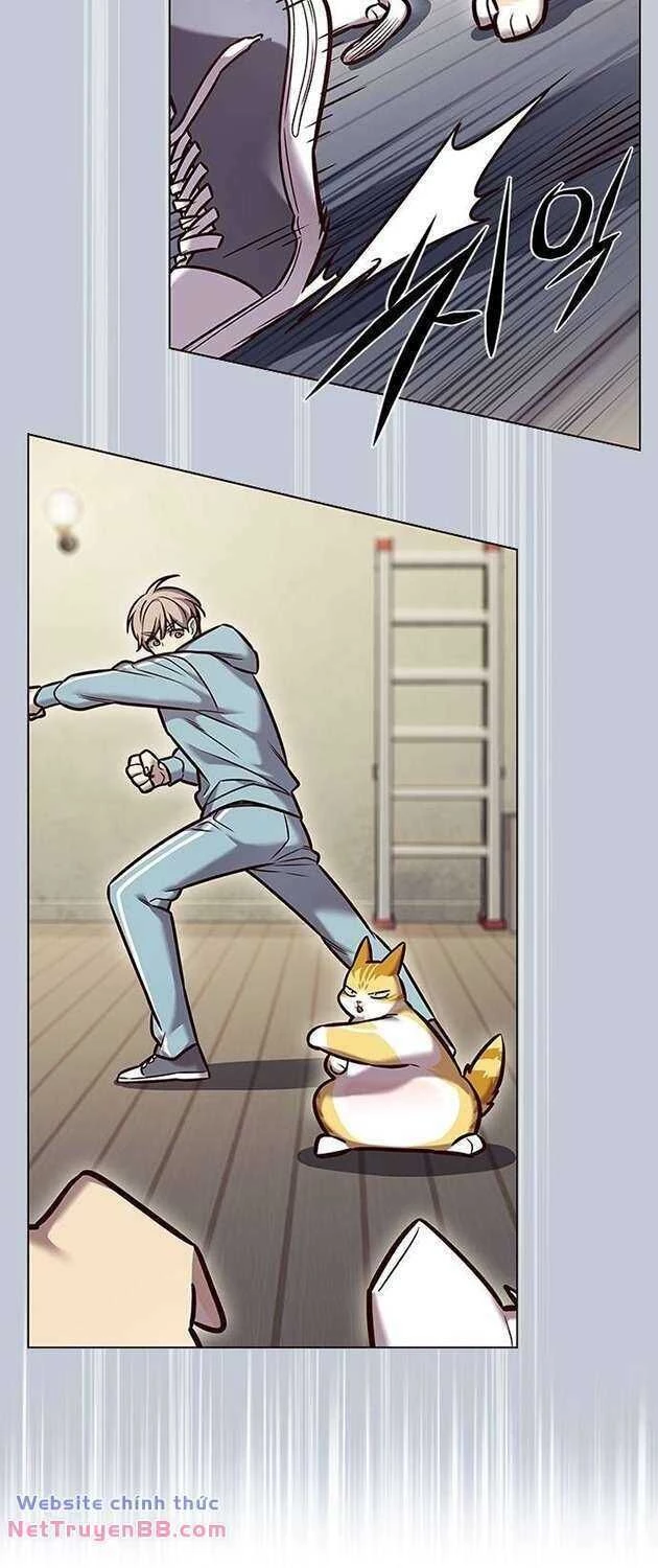 Cô Dâu Của Sói Trắng Chapter 283 - 47