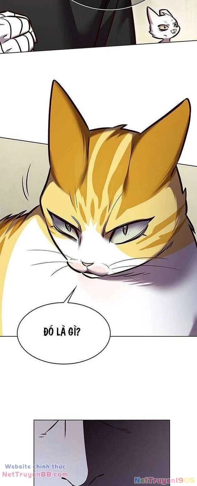 Cô Dâu Của Sói Trắng Chapter 283 - 76