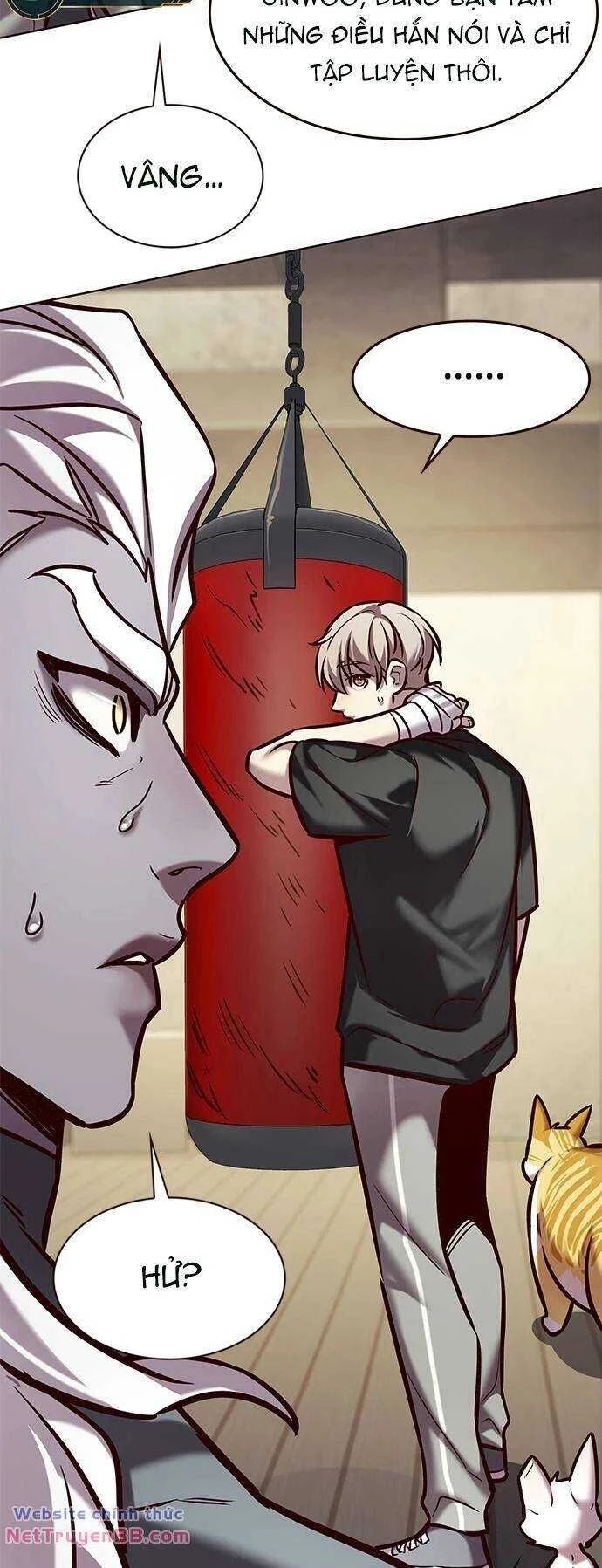 Cô Dâu Của Sói Trắng Chapter 284 - 19