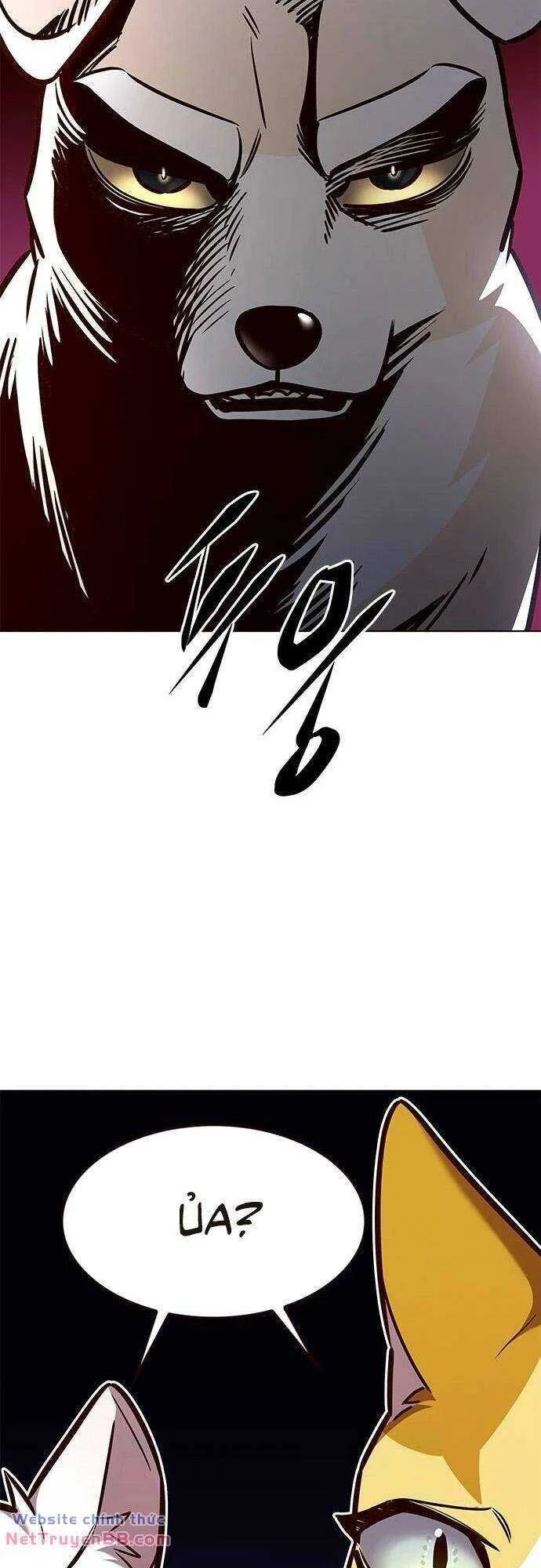 Cô Dâu Của Sói Trắng Chapter 285 - 14