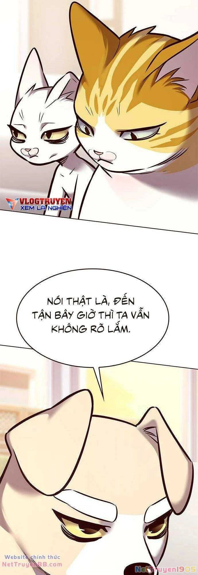Cô Dâu Của Sói Trắng Chapter 285 - 26