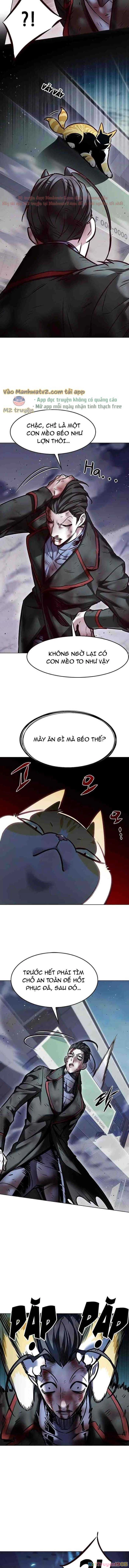 Cô Dâu Của Sói Trắng Chapter 294 - 5