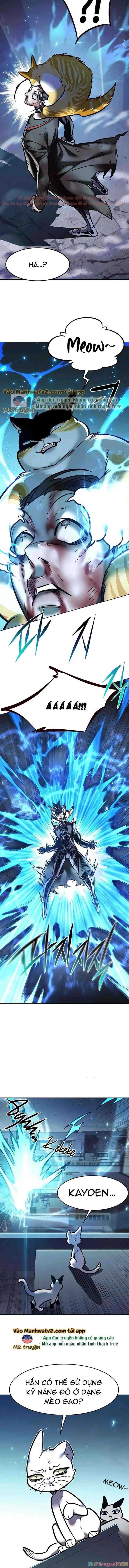 Cô Dâu Của Sói Trắng Chapter 294 - 6