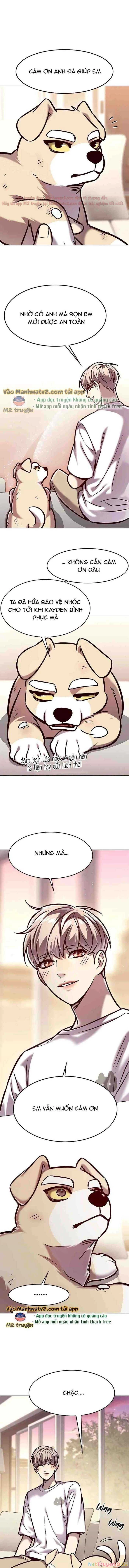Cô Dâu Của Sói Trắng Chapter 294 - 9
