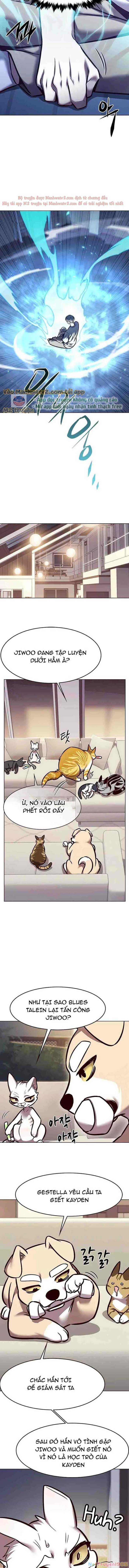 Cô Dâu Của Sói Trắng Chapter 294 - 11