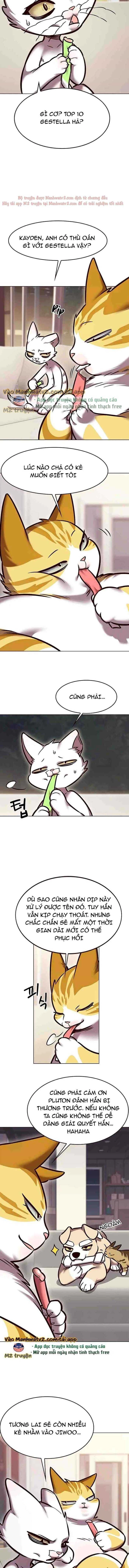 Cô Dâu Của Sói Trắng Chapter 294 - 12