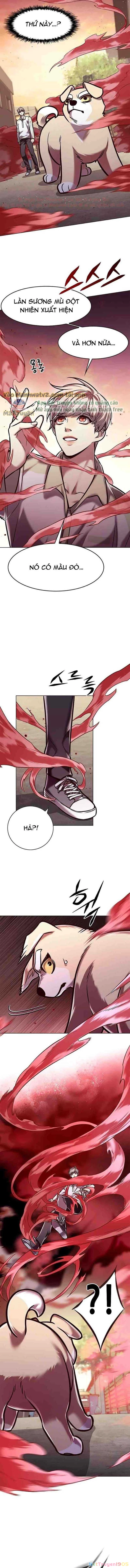Cô Dâu Của Sói Trắng Chapter 295 - 10
