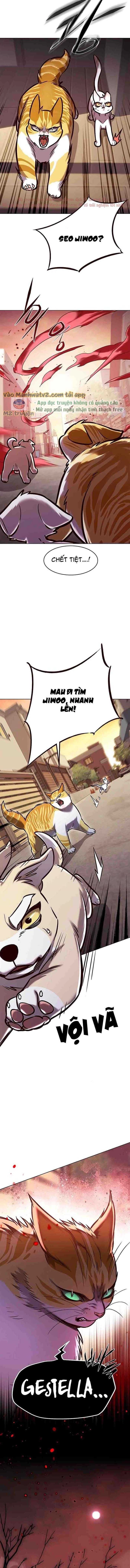 Cô Dâu Của Sói Trắng Chapter 295 - 11
