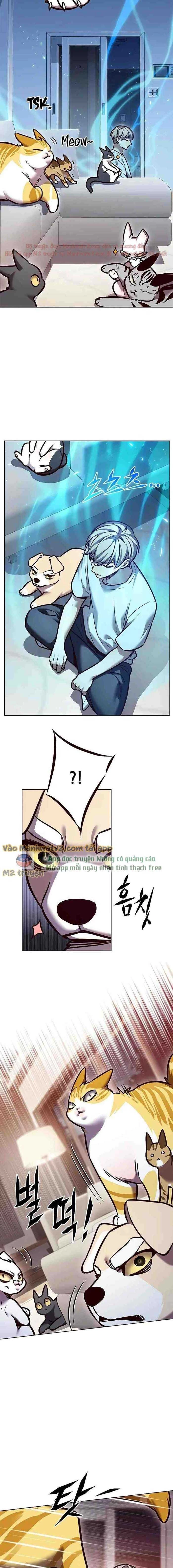 Cô Dâu Của Sói Trắng Chapter 299 - 9