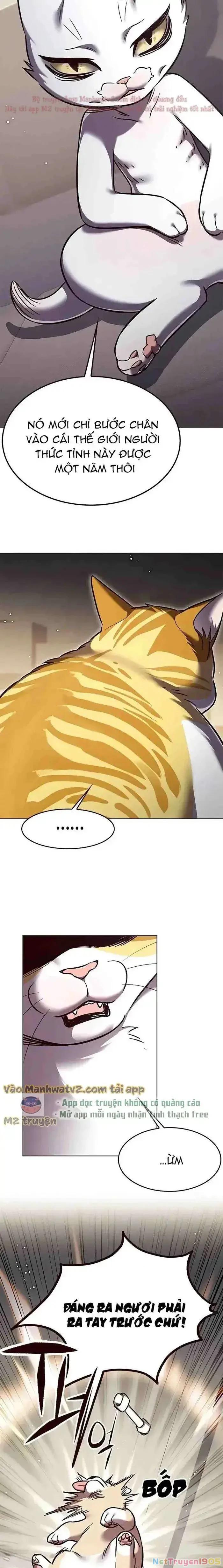 Cô Dâu Của Sói Trắng Chapter 304 - 4