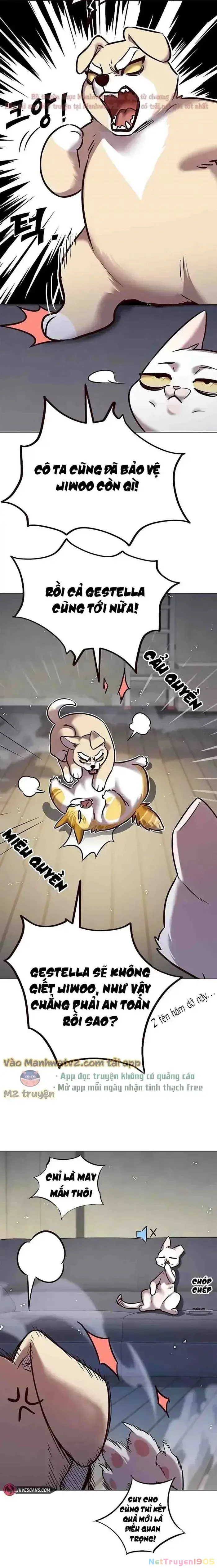 Cô Dâu Của Sói Trắng Chapter 304 - 6