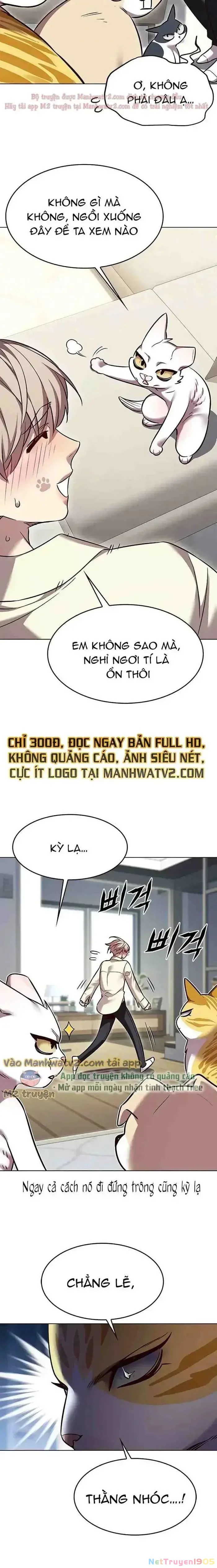 Cô Dâu Của Sói Trắng Chapter 304 - 17