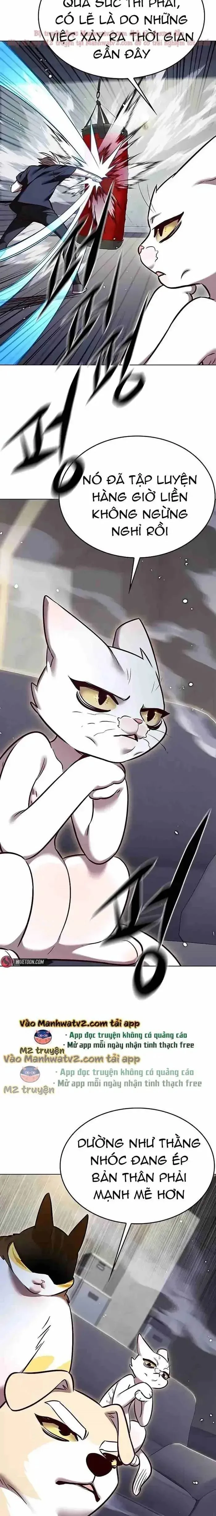 Cô Dâu Của Sói Trắng Chapter 305 - 5