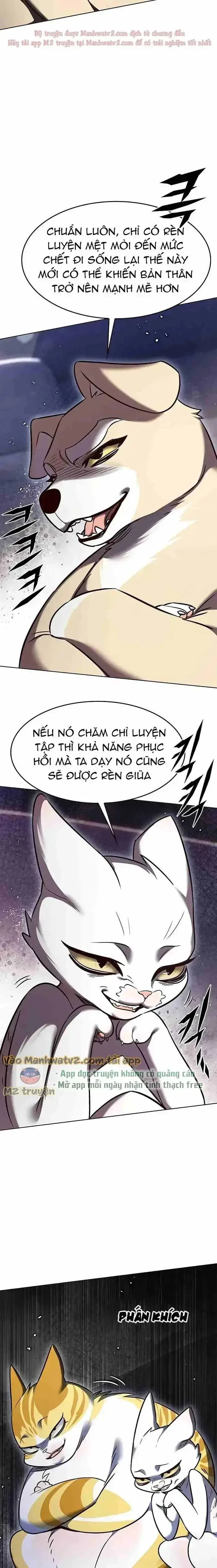 Cô Dâu Của Sói Trắng Chapter 305 - 7