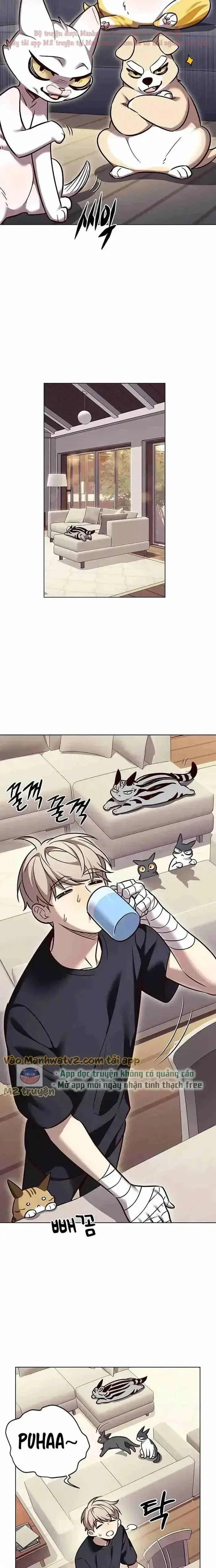 Cô Dâu Của Sói Trắng Chapter 305 - 13