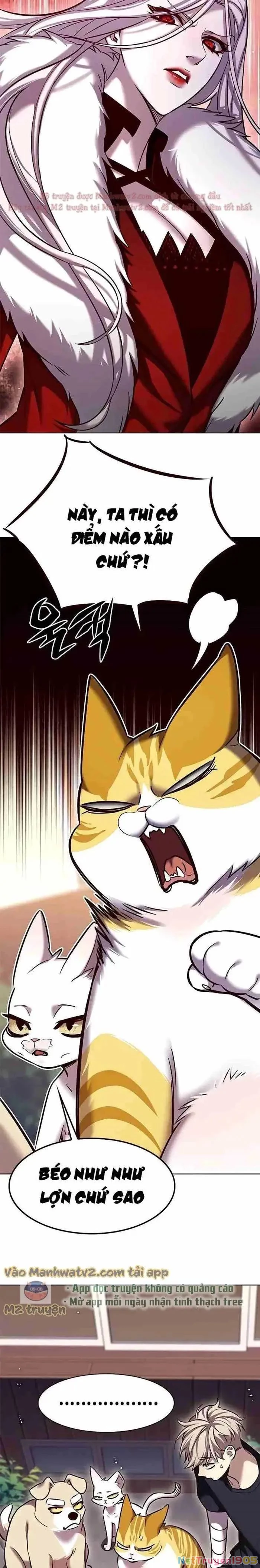 Cô Dâu Của Sói Trắng Chapter 306 - 17