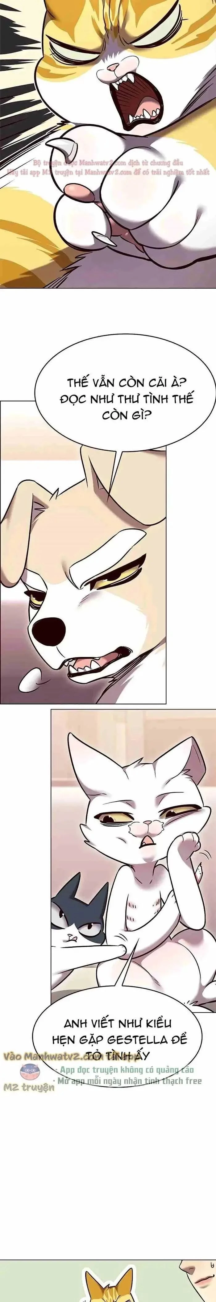 Cô Dâu Của Sói Trắng Chapter 306 - 27