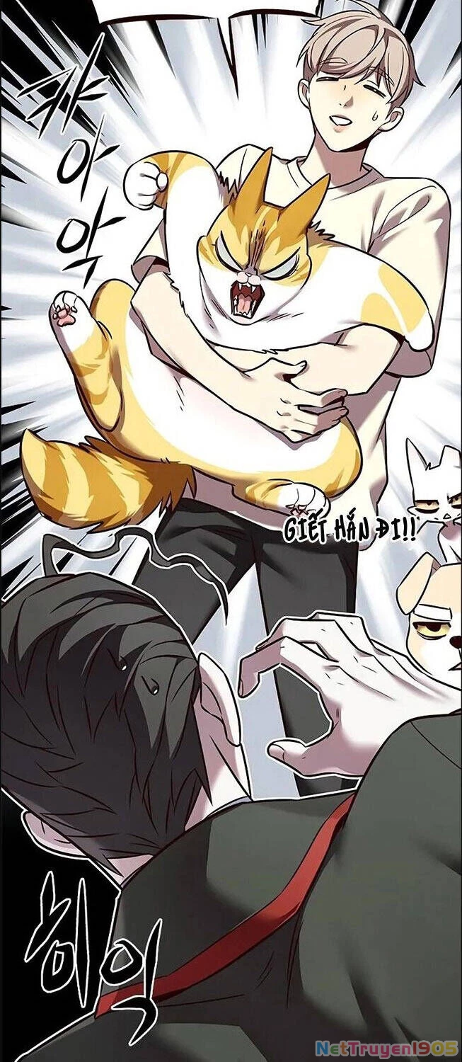 Cô Dâu Của Sói Trắng Chapter 307 - 33