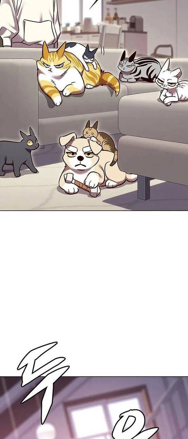 Cô Dâu Của Sói Trắng Chapter 308 - 28