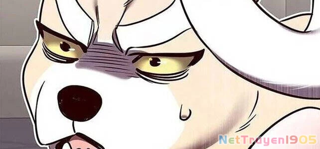 Cô Dâu Của Sói Trắng Chapter 308 - 60
