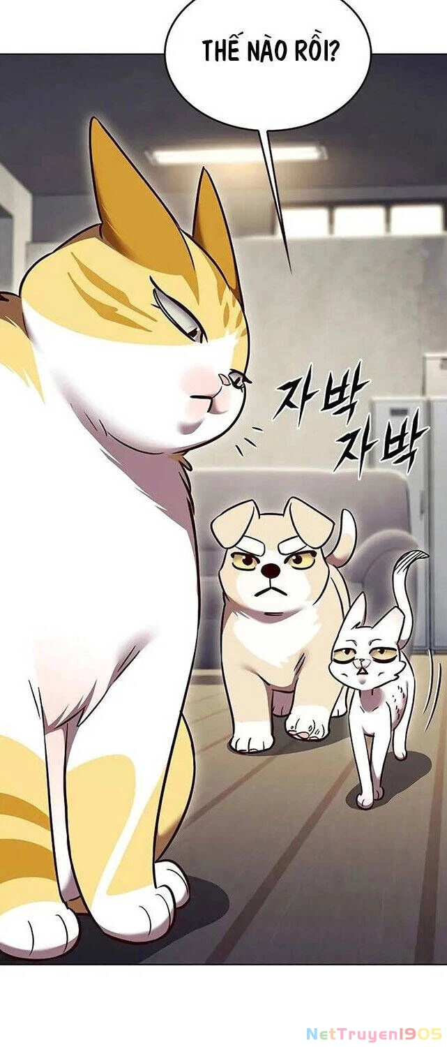 Cô Dâu Của Sói Trắng Chapter 309 - 36