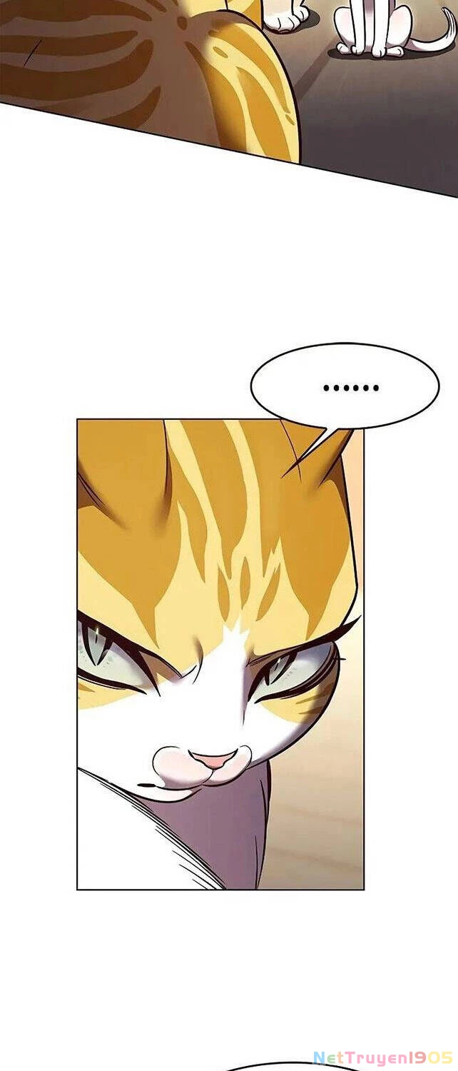 Cô Dâu Của Sói Trắng Chapter 309 - 48