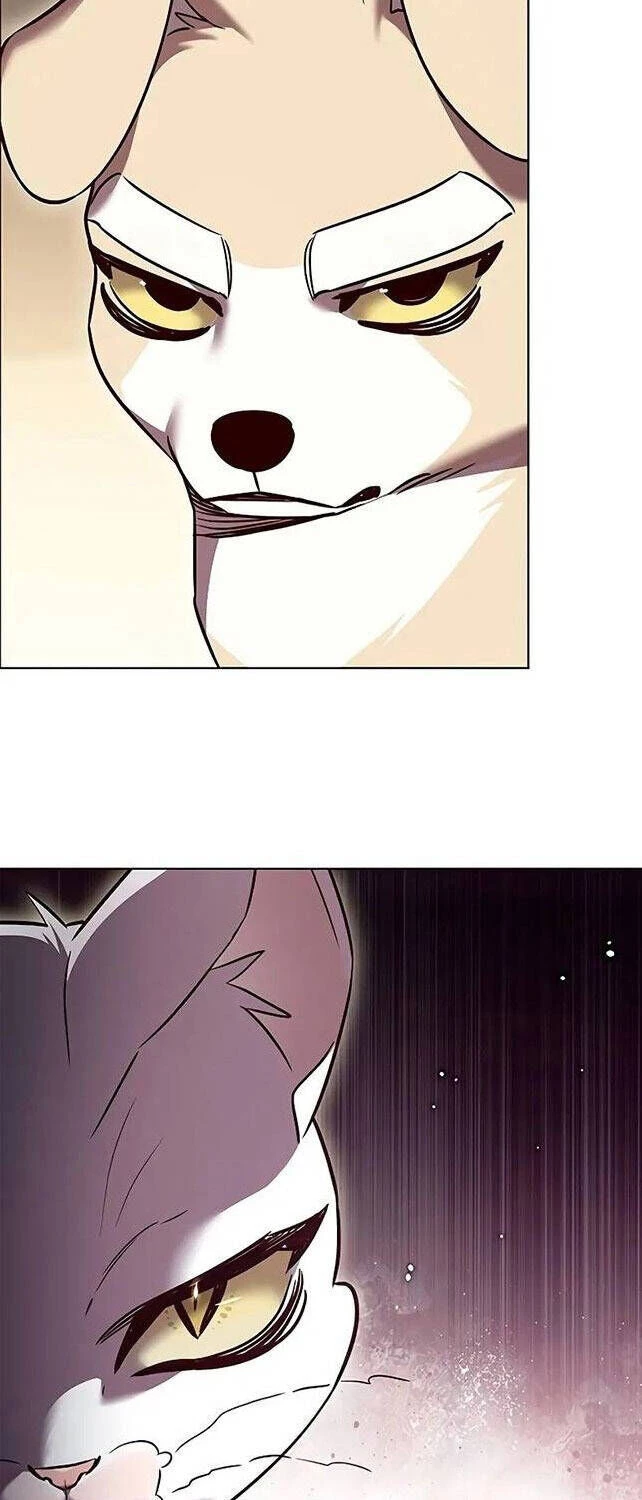 Cô Dâu Của Sói Trắng Chapter 309 - 55