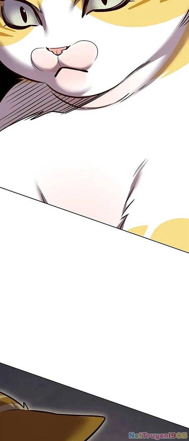 Cô Dâu Của Sói Trắng Chapter 309 - 58