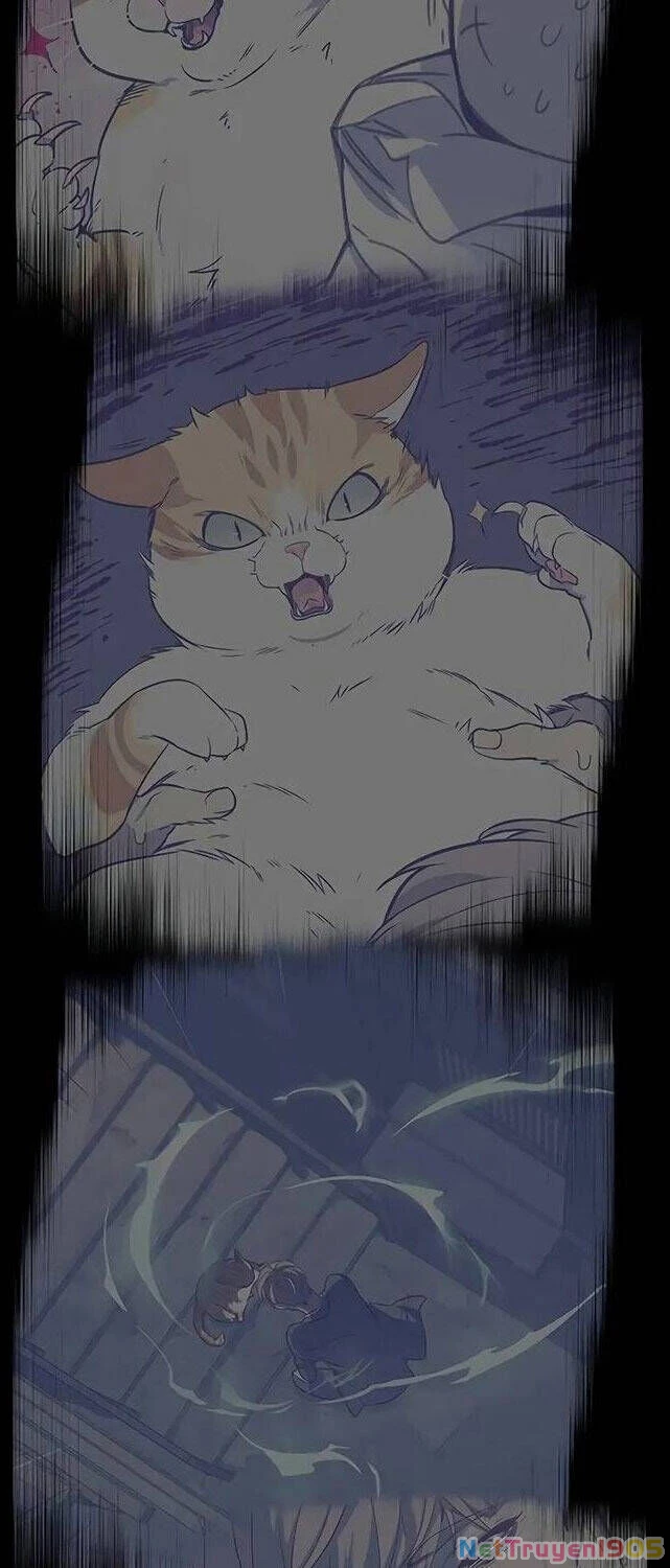 Cô Dâu Của Sói Trắng Chapter 309 - 69