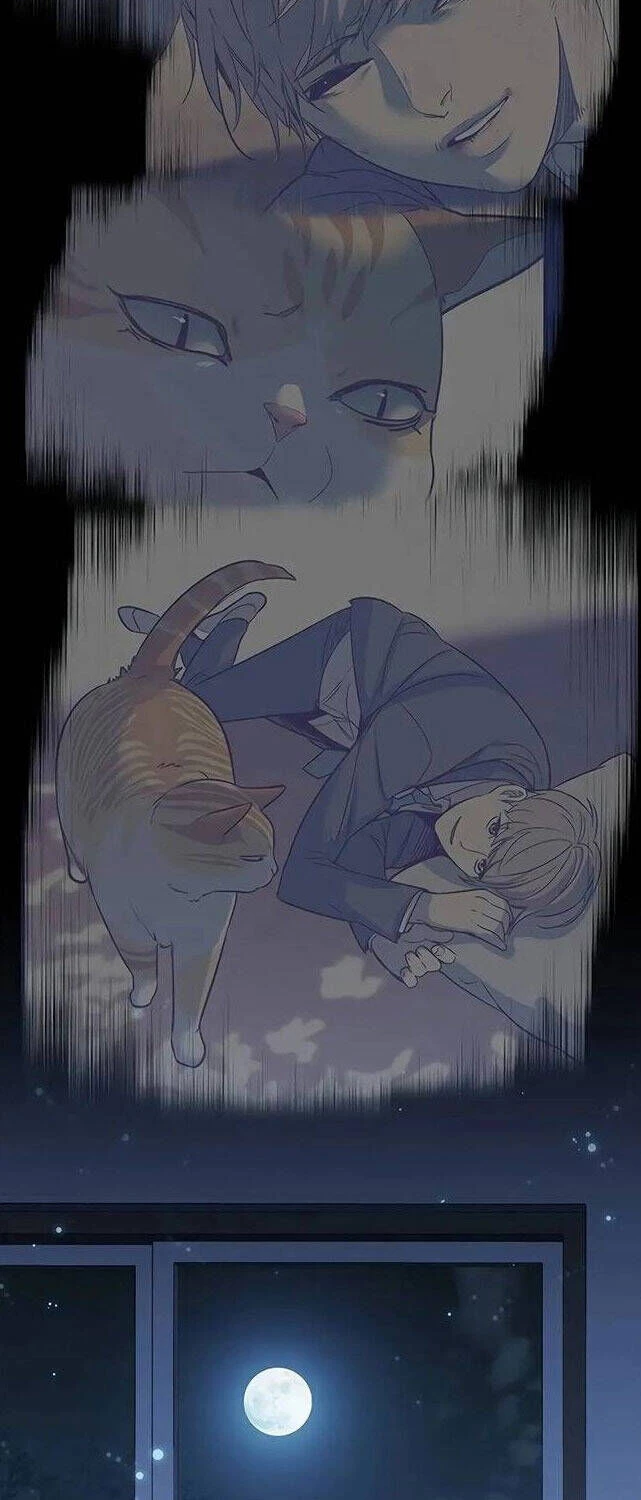 Cô Dâu Của Sói Trắng Chapter 309 - 70