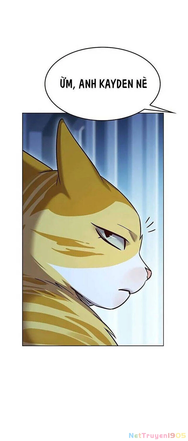 Cô Dâu Của Sói Trắng Chapter 309 - 72