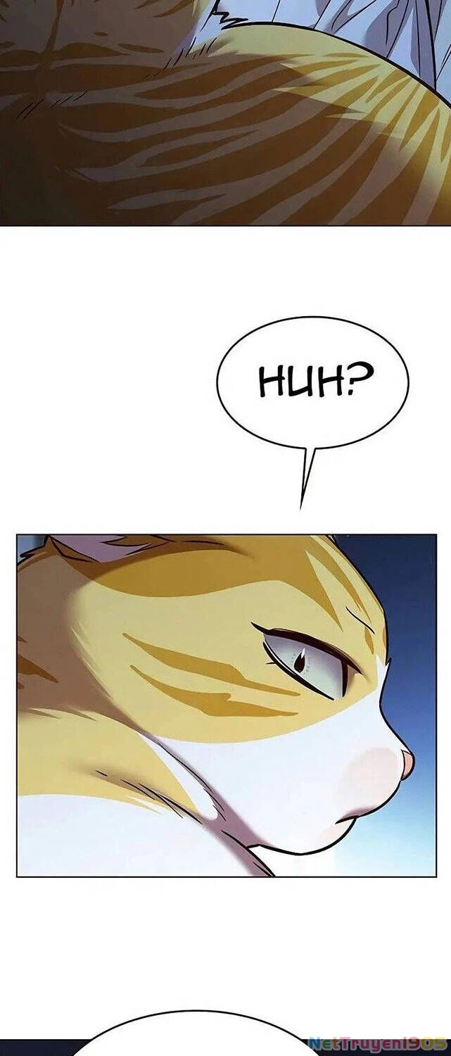 Cô Dâu Của Sói Trắng Chapter 309 - 74