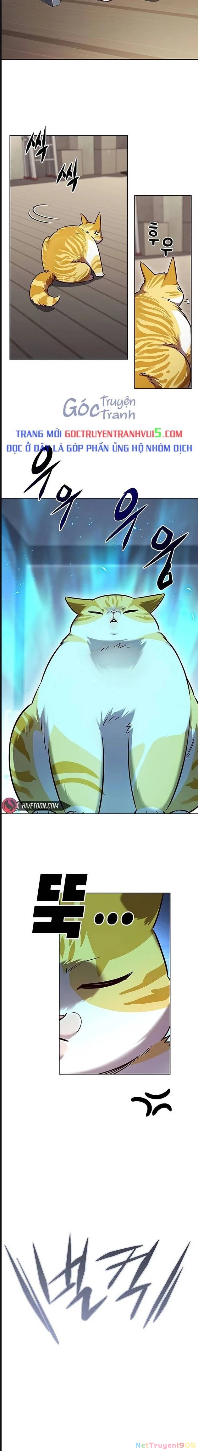 Cô Dâu Của Sói Trắng Chapter 322 - 20